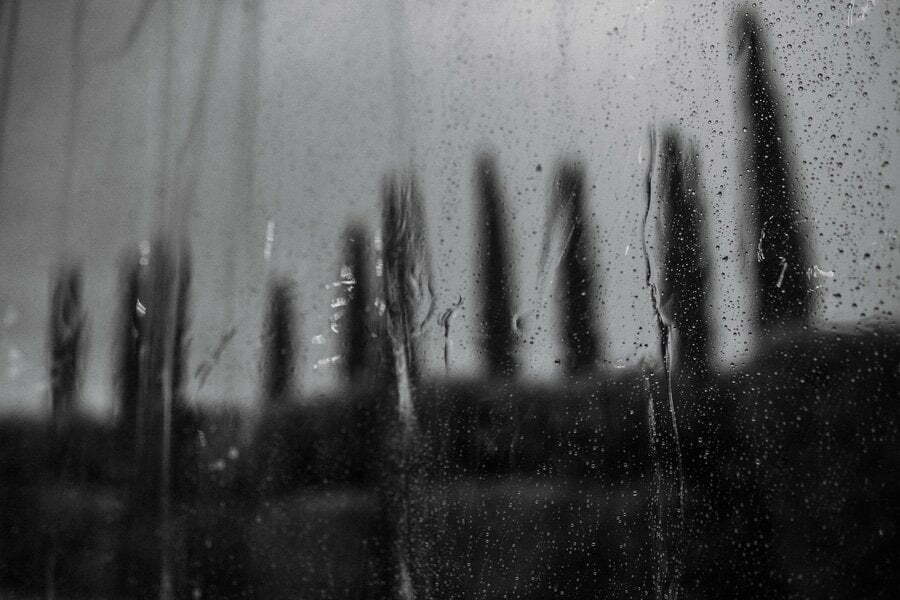rain and cypress in Tuscany
